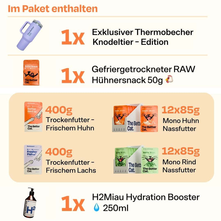 Catzarelove x TBC Summer Bundle inkl. Exklusiv-Merch