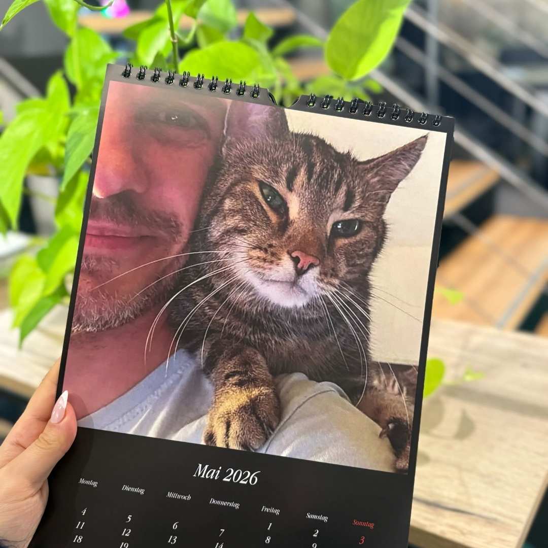 Catzarelove Bundle inkl. GRATIS Kalendar & H2Miau