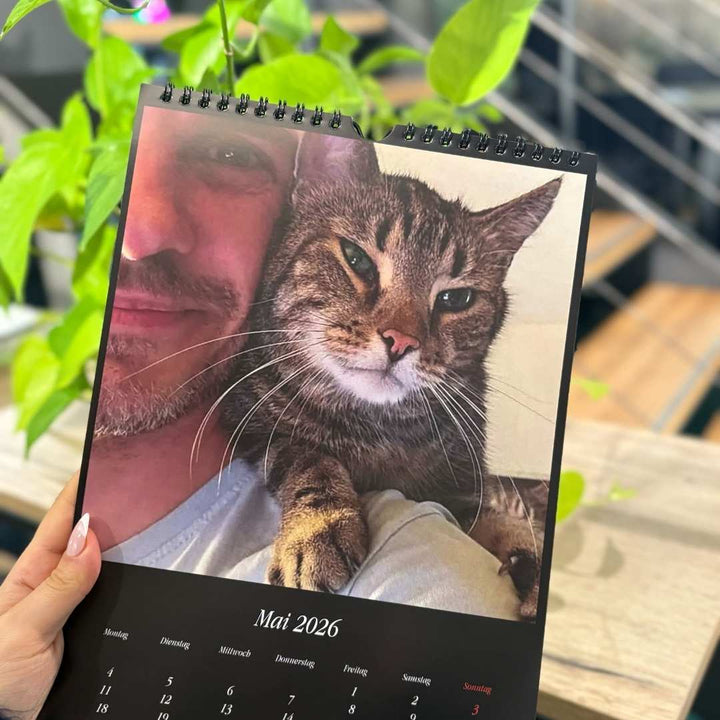 Catzarelove Bundle inkl. GRATIS Kalendar & H2Miau