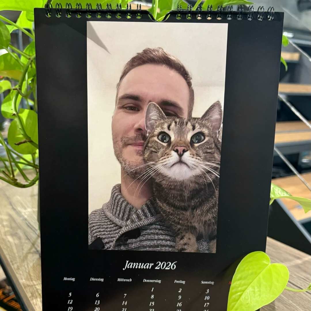 Catzarelove Bundle inkl. GRATIS Kalendar & H2Miau