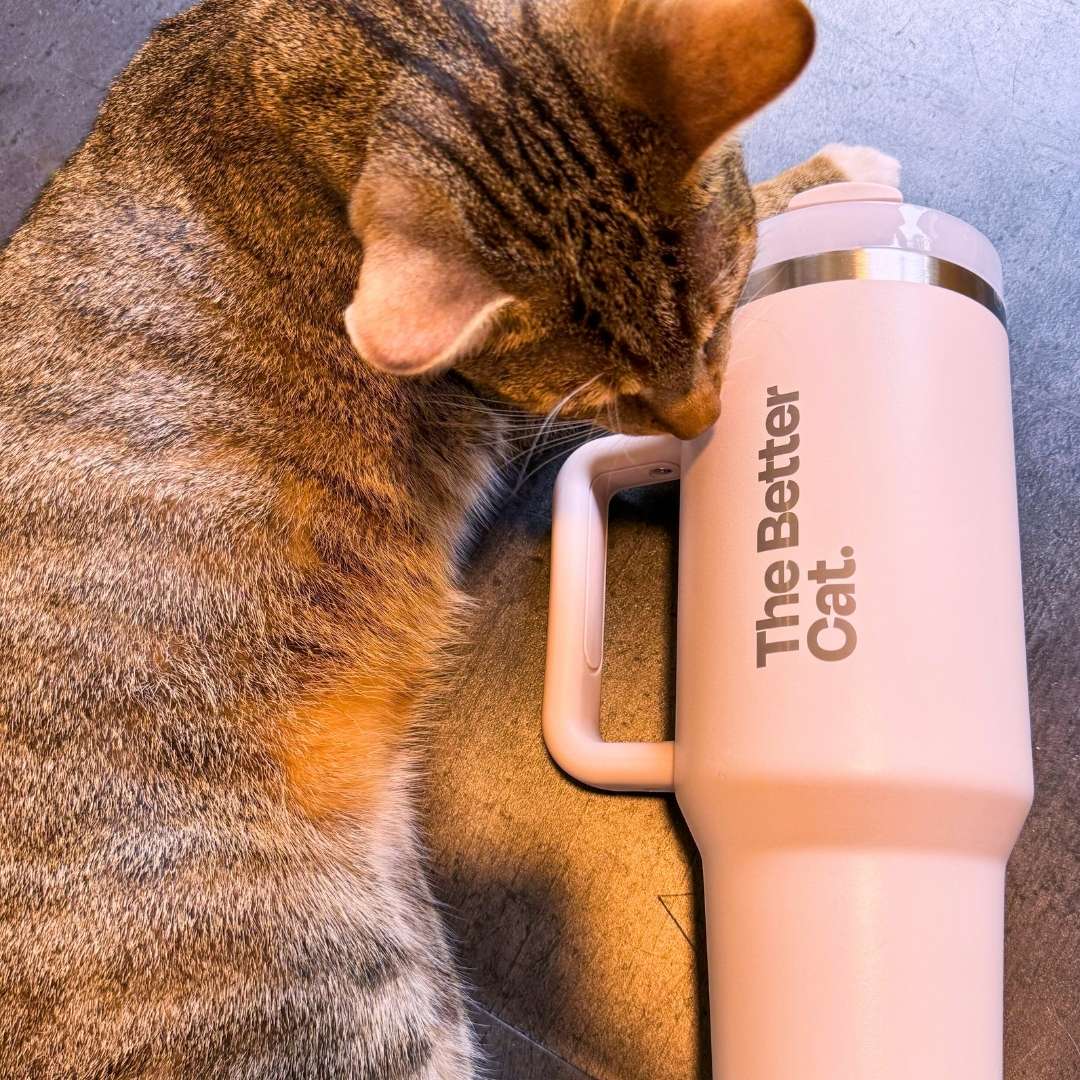 Catmas Bundle inkl. GRATIS Thermo deiner Wahl