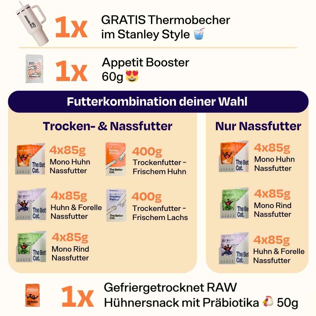 Birthday Bundle inkl. Appetit Booster & GRATIS Thermobecher