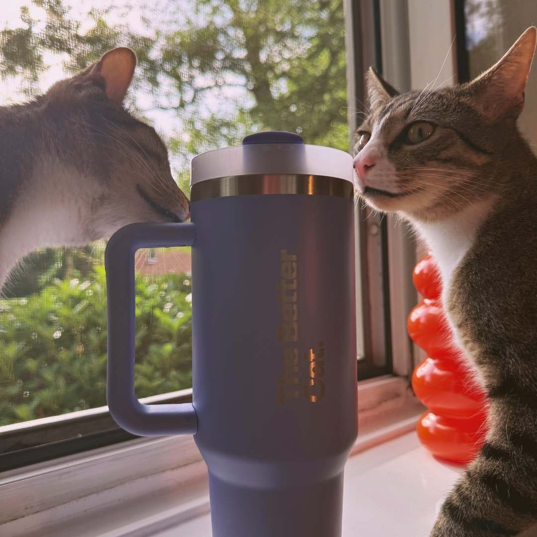 Catzarelove x TBC Summer Bundle inkl. Exklusiv-Merch