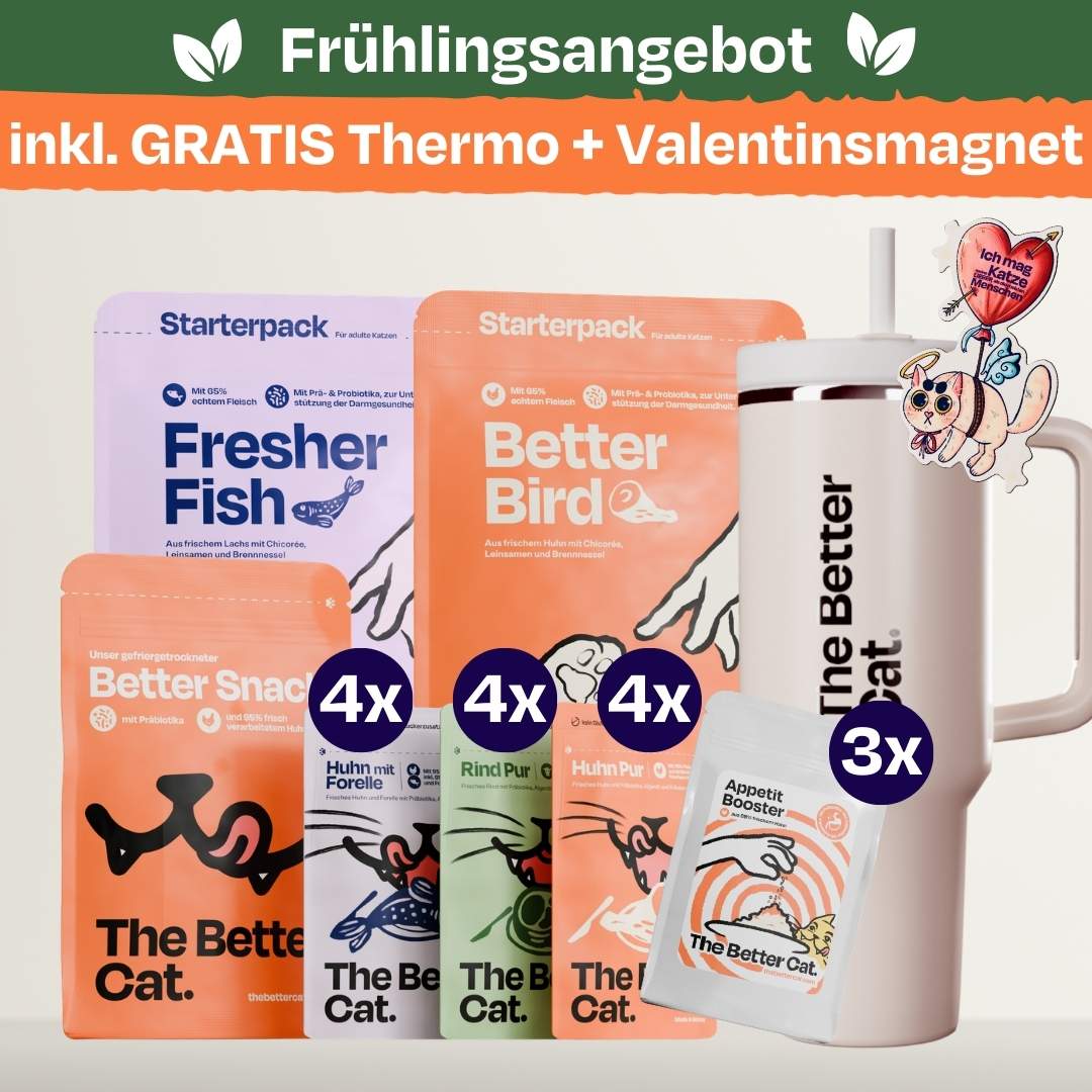 Katzenliebe Bundle inkl. GRATIS Thermo & Valentins-Magnet