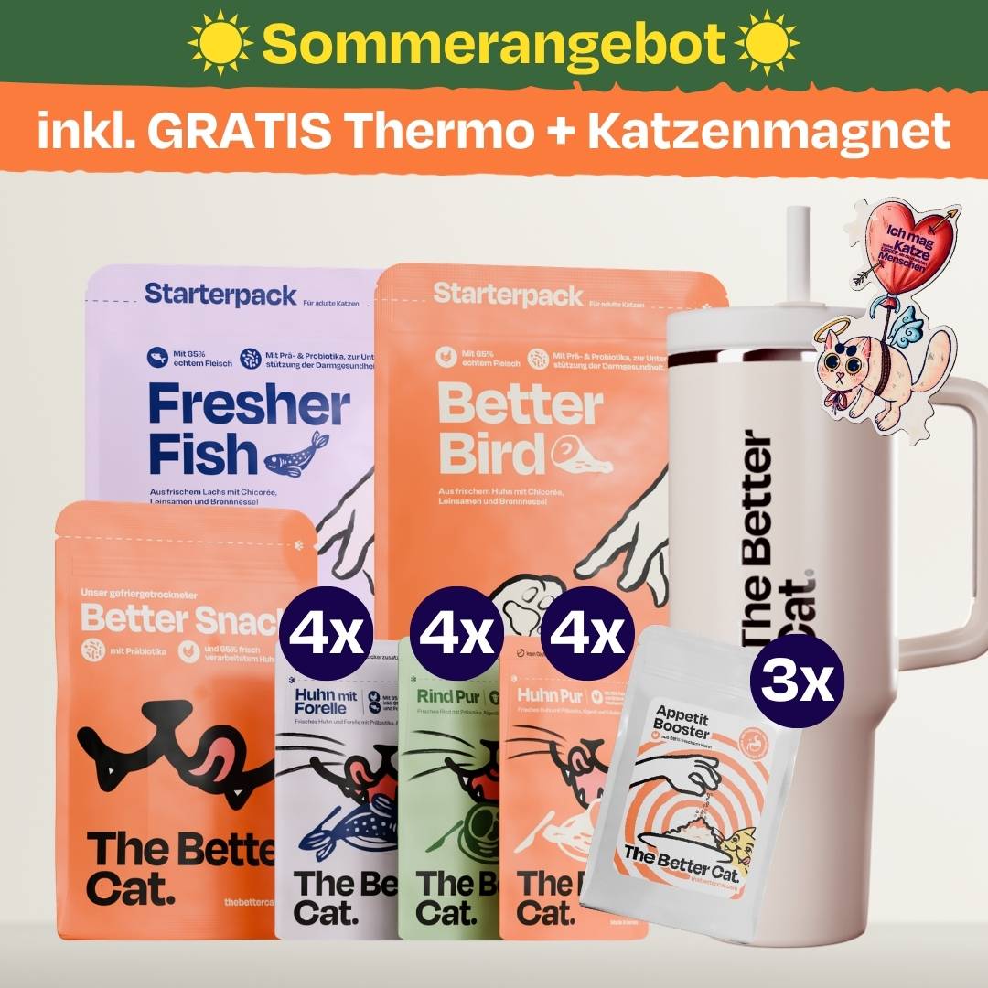 Katzenliebe Bundle inkl. GRATIS Thermo im Stanley Stil