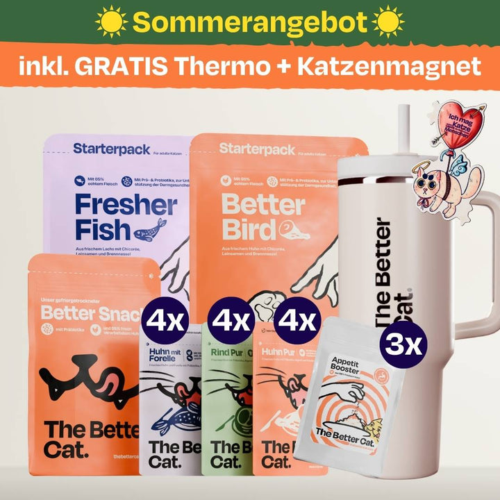 Katzenliebe Bundle inkl. GRATIS Thermo im Stanley Stil