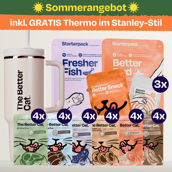 Katzenliebe Bundle inkl. GRATIS Thermo im Stanley Stil