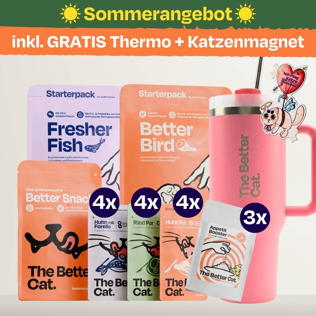 Katzenliebe Bundle inkl. GRATIS Thermo im Stanley Stil