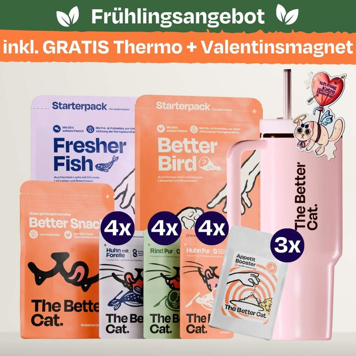 Katzenliebe Bundle inkl. GRATIS Thermo & Valentins-Magnet