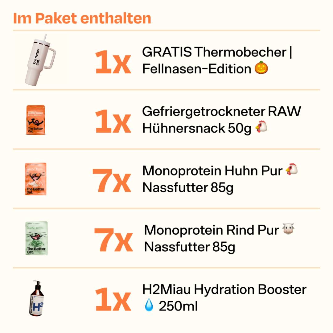 Black Friday Bundle inkl. GRATIS Thermobecher