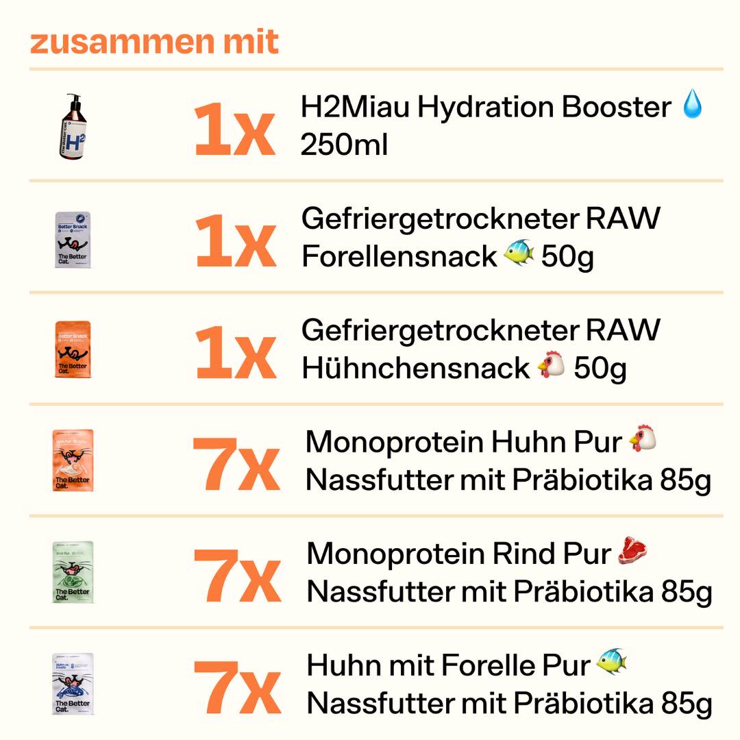 7 Katzenleben Bundle mit GRATIS Thermoflasche