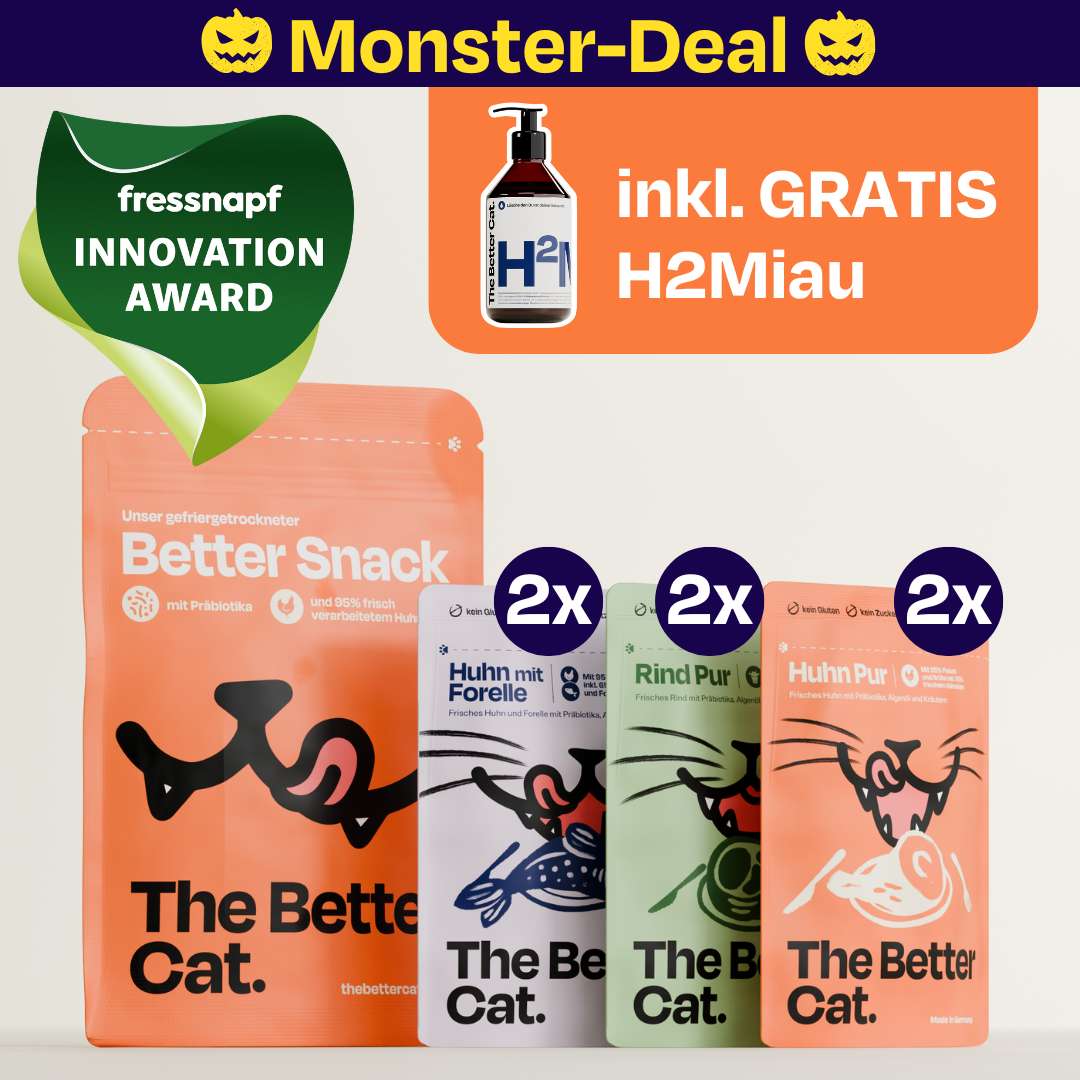 Nassfutter Starterpack inkl. GRATIS H2Miau Hydration Booster