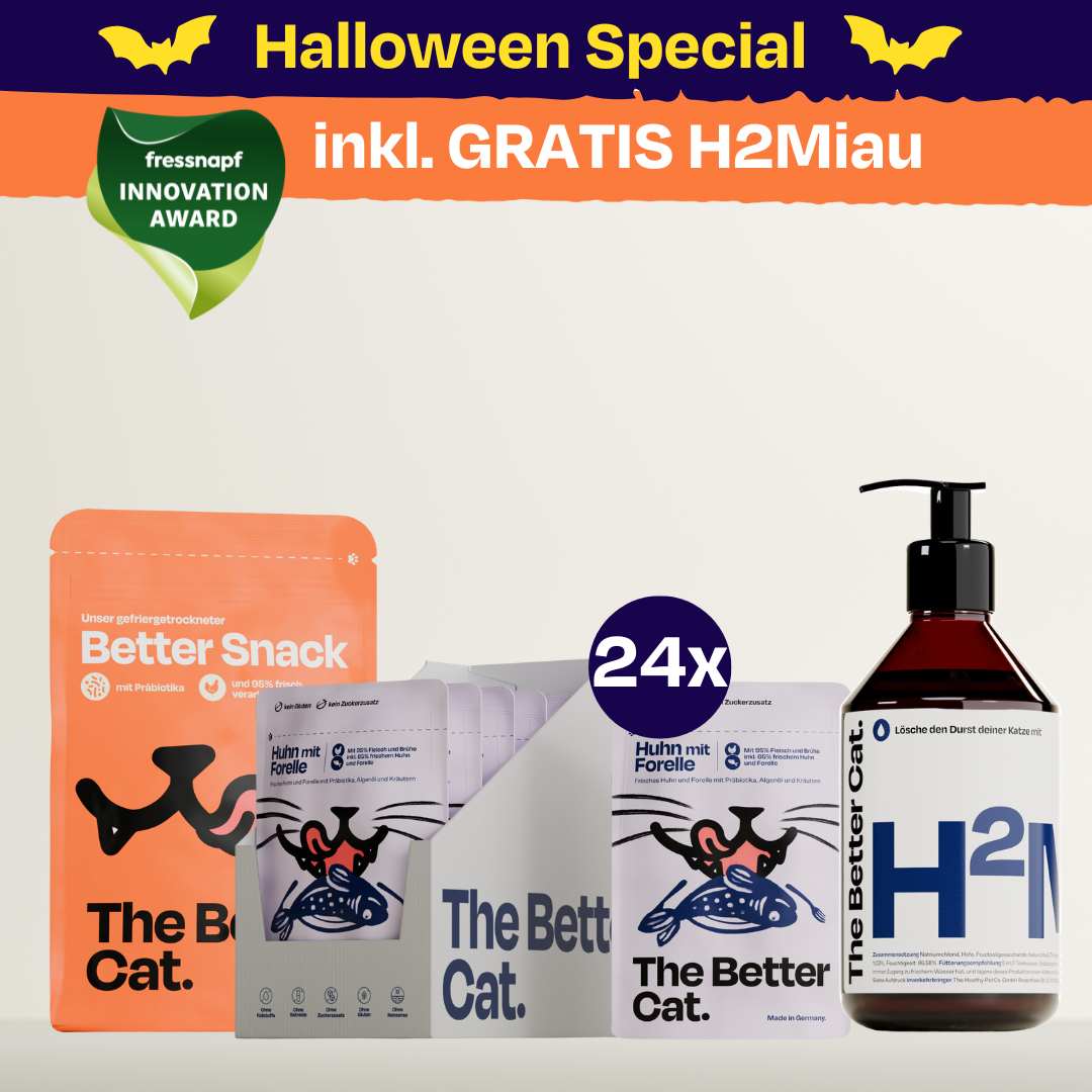 Nassfutter Starterpack inkl. GRATIS H2Miau Hydration Booster