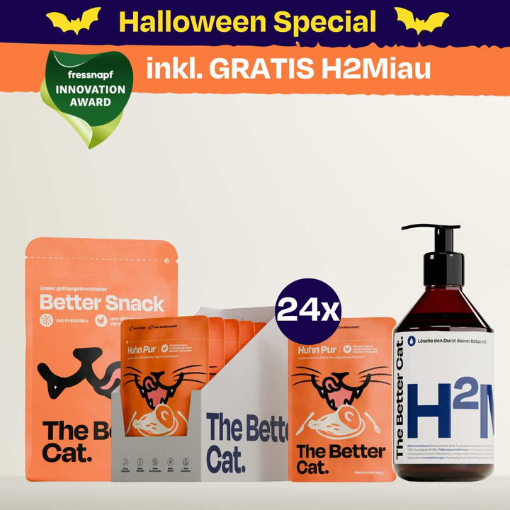Nassfutter Starterpack inkl. GRATIS H2Miau Hydration Booster