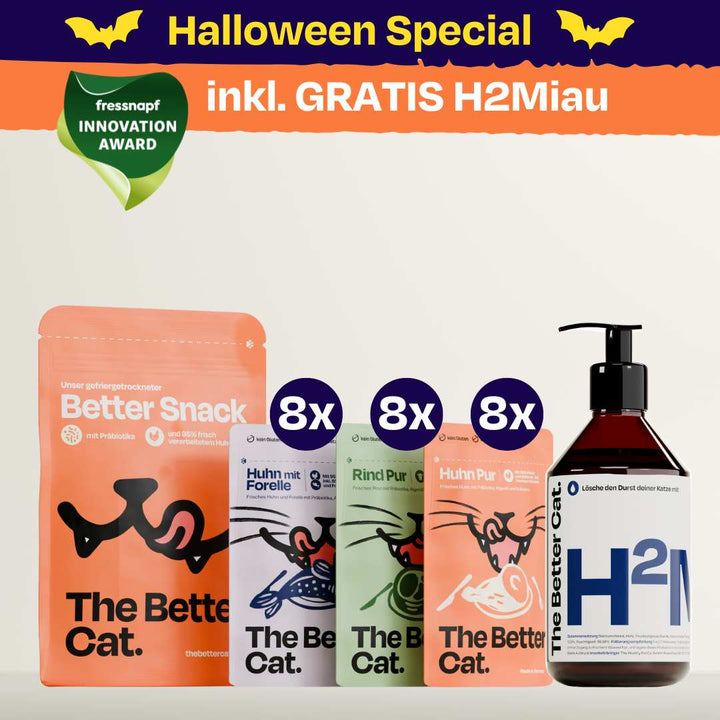 Nassfutter Starterpack inkl. GRATIS H2Miau Hydration Booster