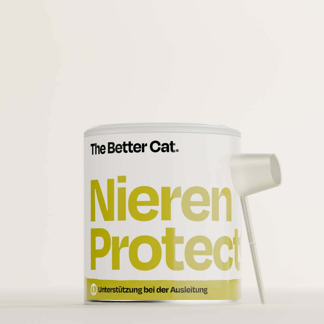 Unsere neue Tierärztin und Expertin das ist Larissa! The Better Cat