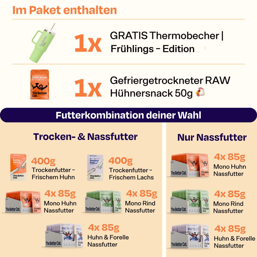 Frühlingsbundle inkl. GRATIS Thermobecher | Mint Grün