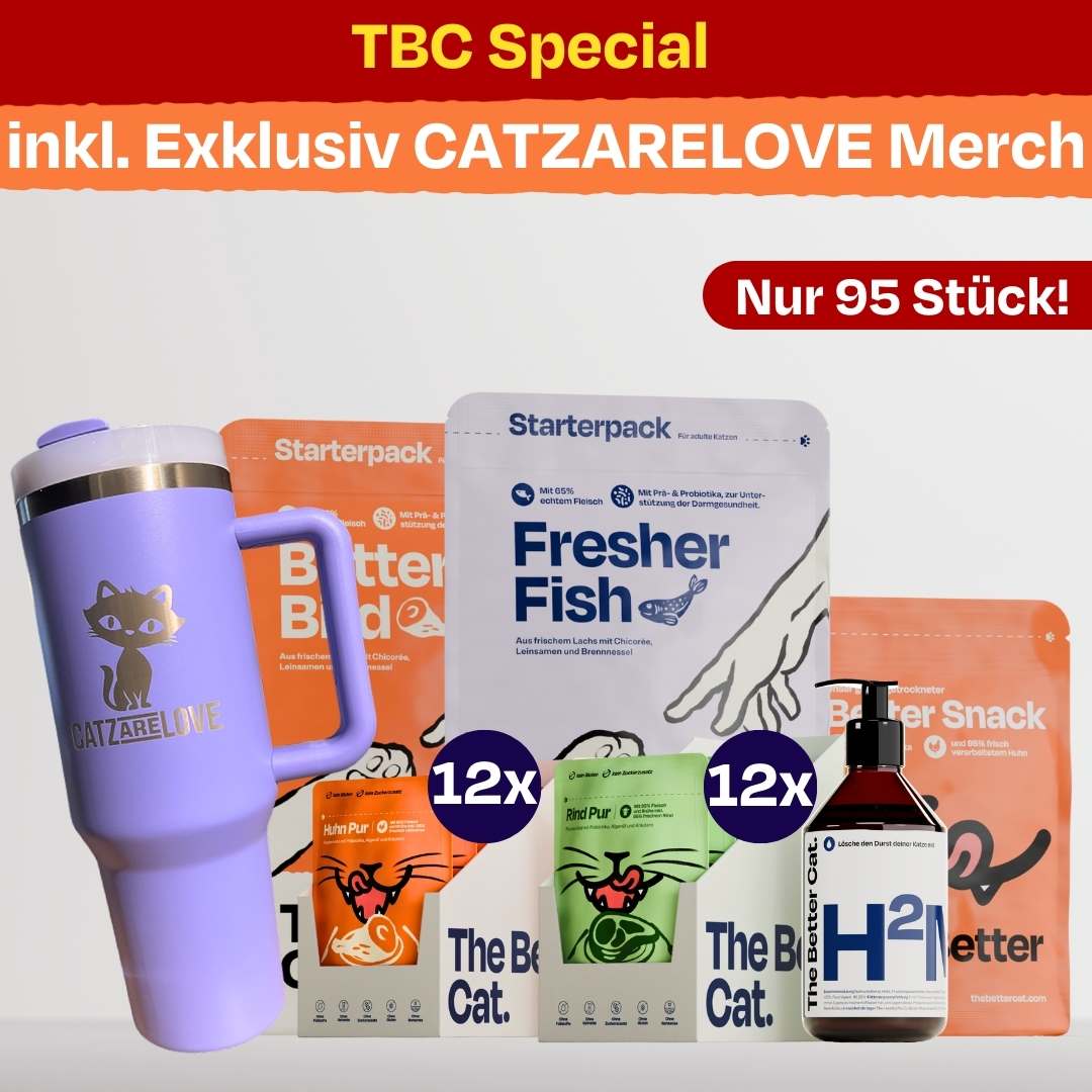 Catzarelove x TBC Summer Bundle inkl. Exklusiv-Merch