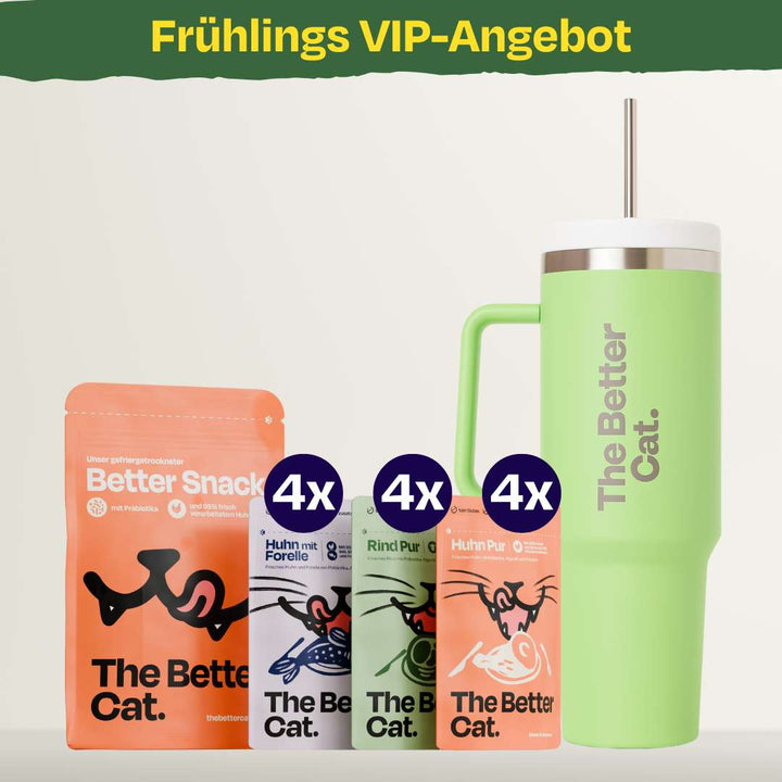 Frühlingsbundle inkl. GRATIS Thermobecher | Mint Grün