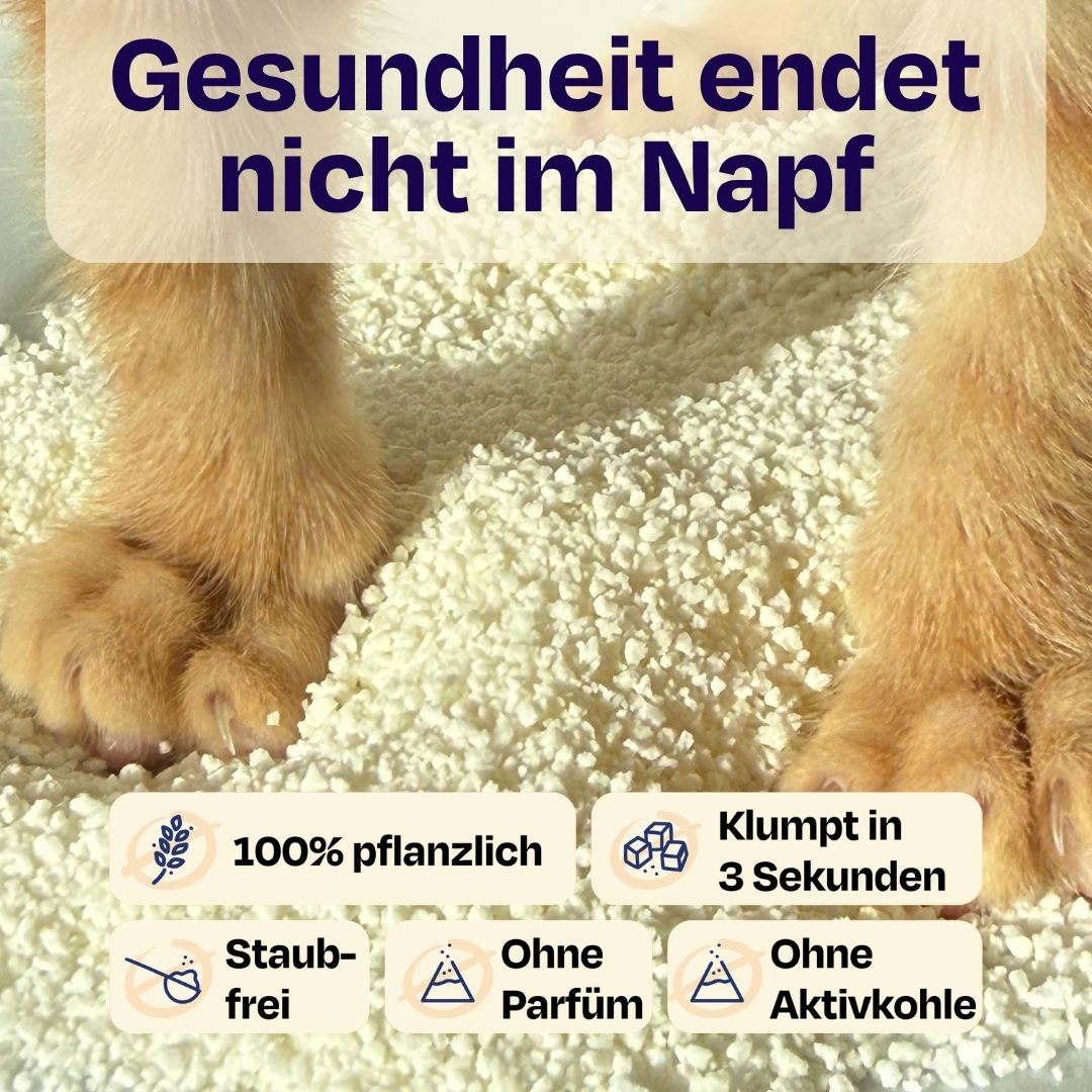 Holy Sh*t – Pflanzliche Katzenstreu