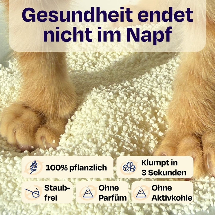 Holy Sh*t – Pflanzliche Katzenstreu