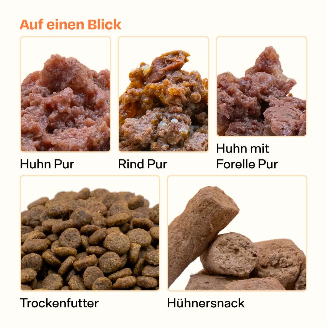 Knödeltier Meet & Greet Bundle