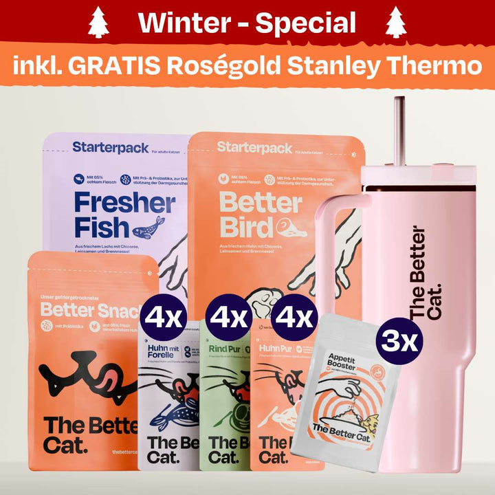 Catmas Bundle inkl. GRATIS Thermo deiner Wahl