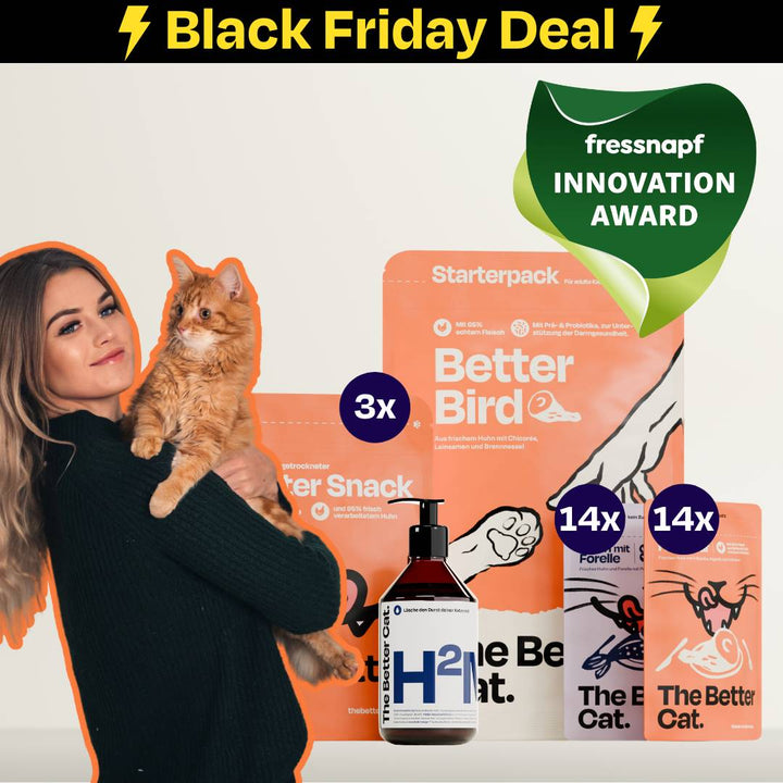 Schnurrbest Black Friday Bundle