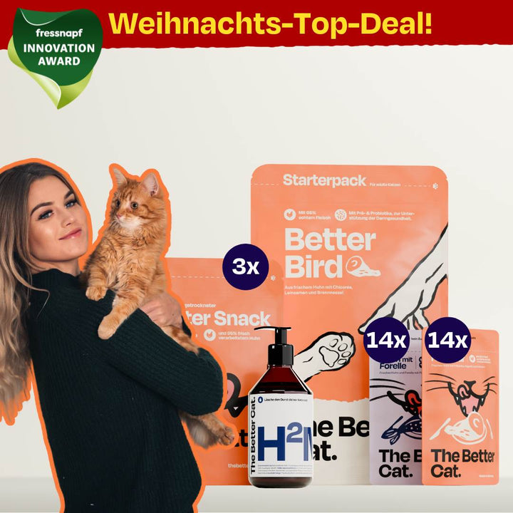 Schnurrbest Weihnachts-Bundle