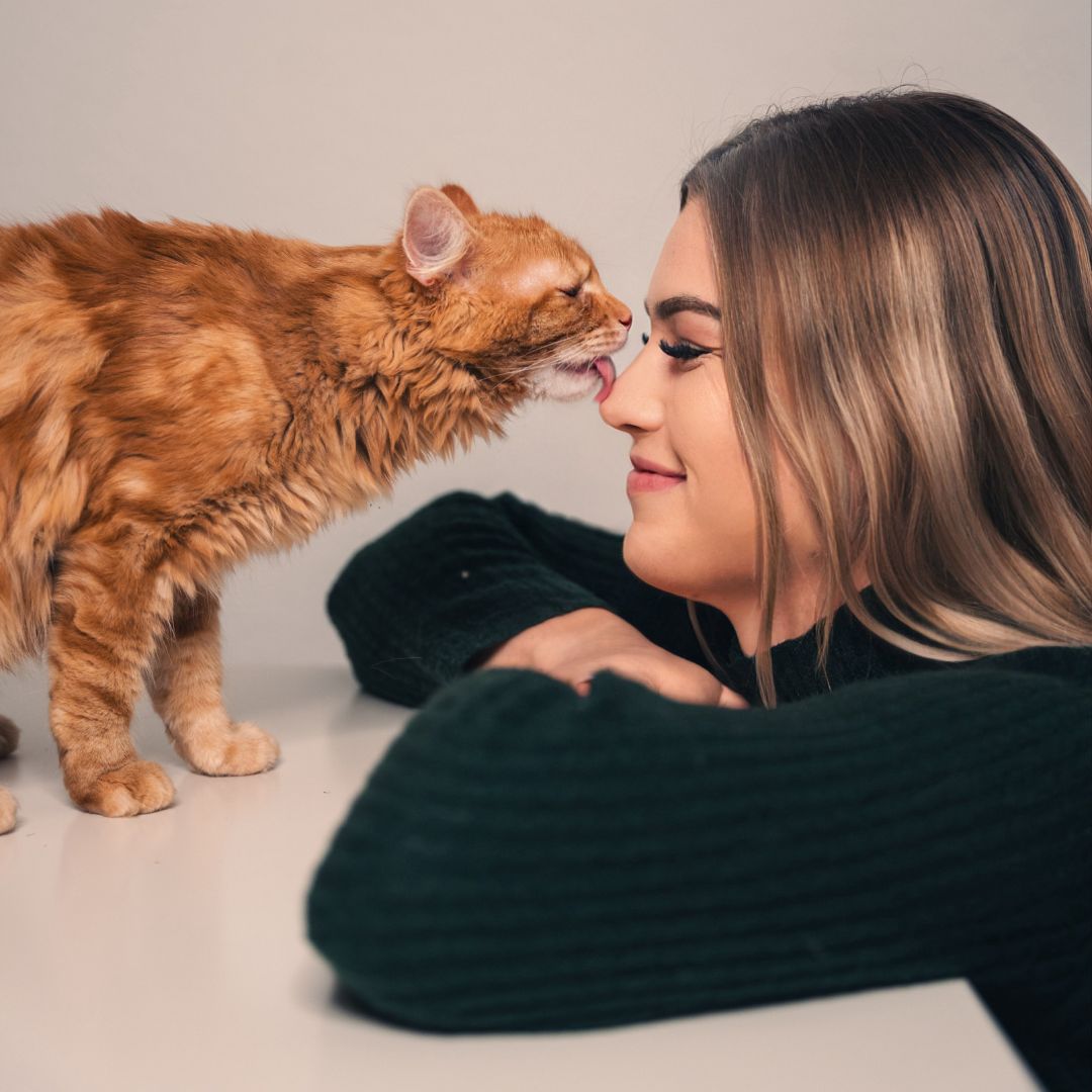 Katzenfutter exklusiv für Katzen entwickelt von Katzen und den Experten die sie lieben