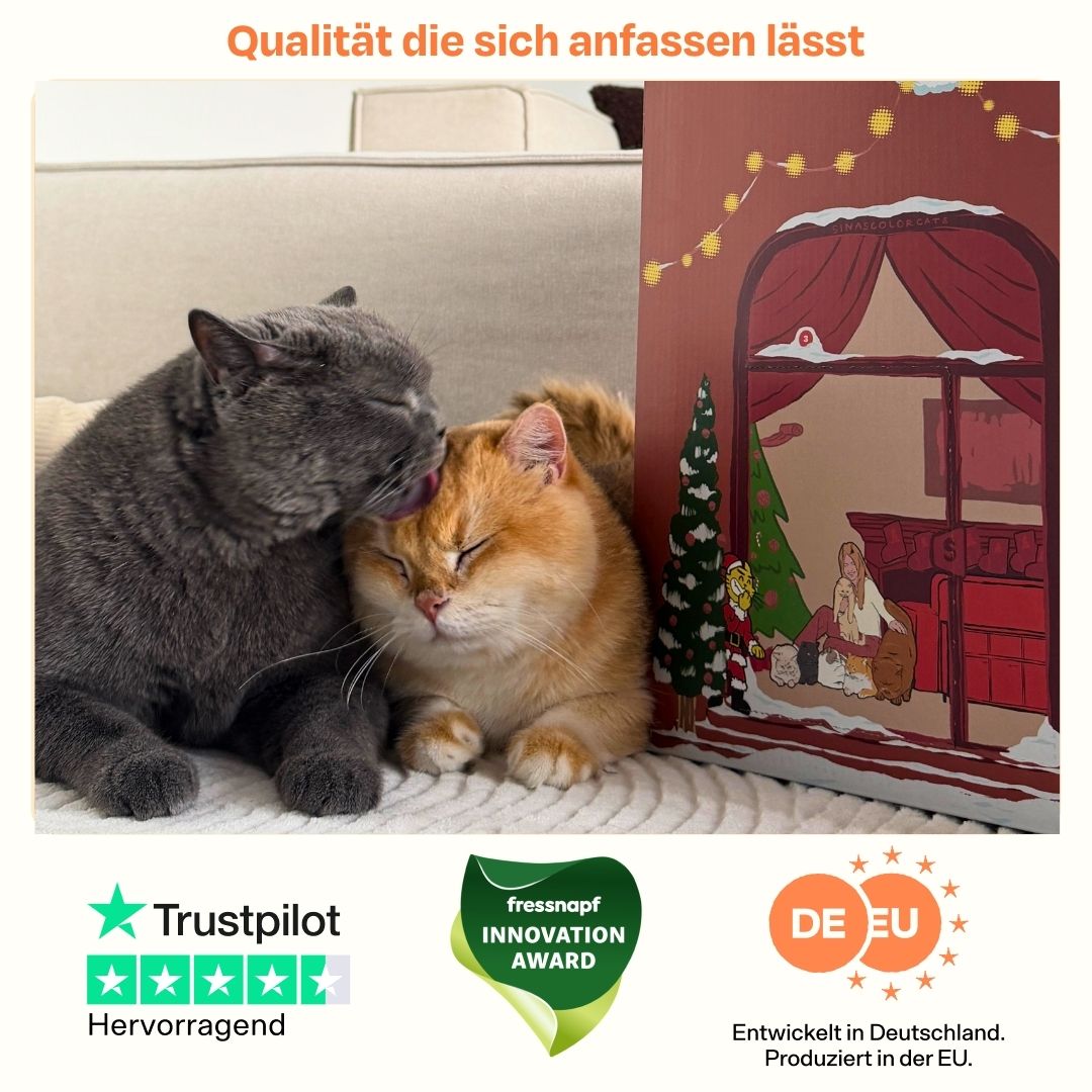 TBC Adventskalendar 2026