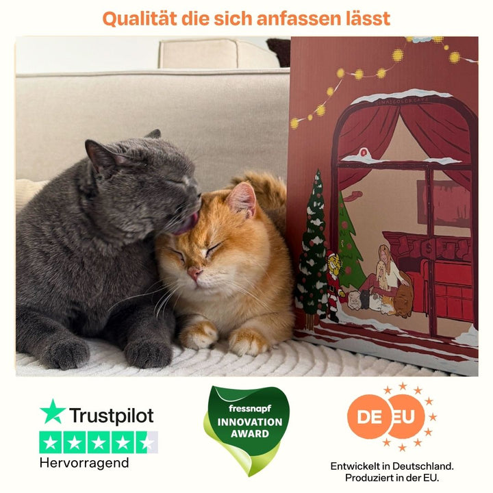 TBC Adventskalendar 2026