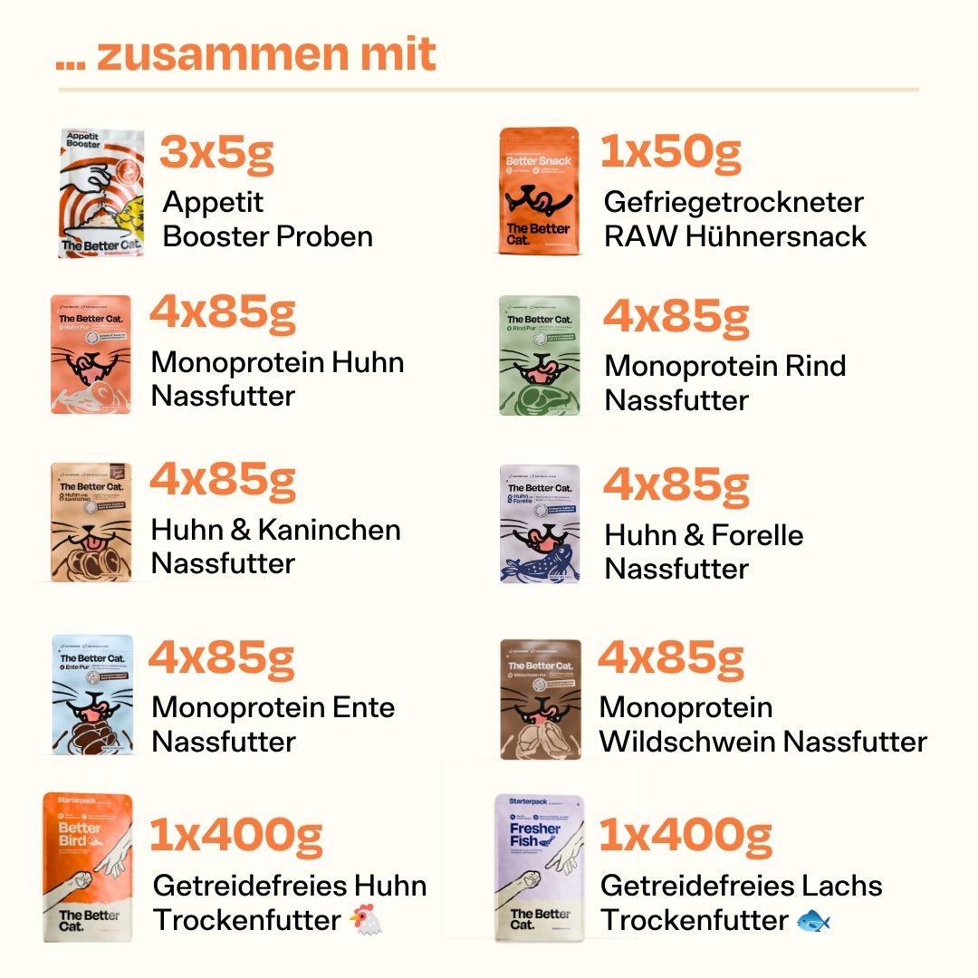 Katzenliebe Bundle inkl. GRATIS Thermo im Stanley Stil