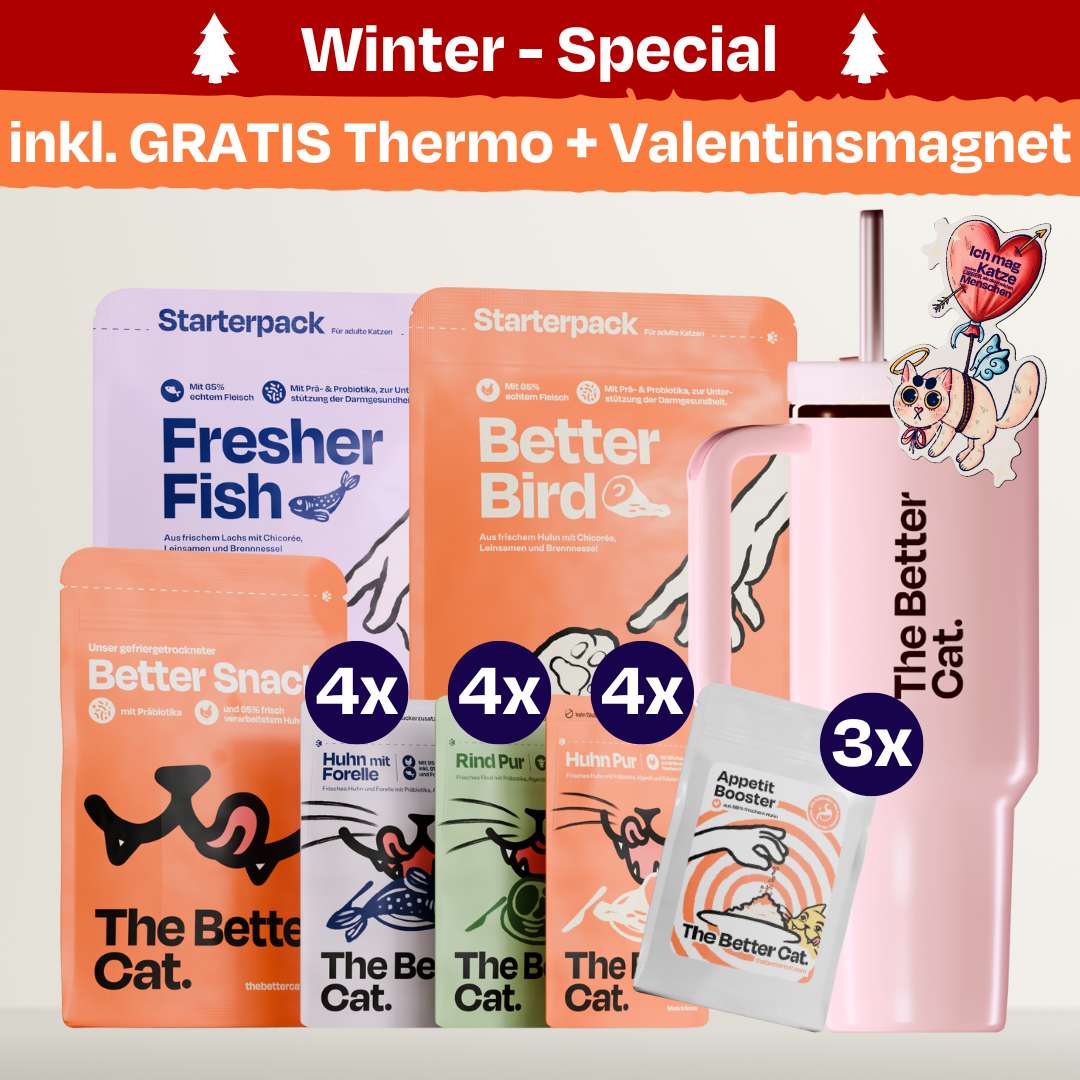 Katzenliebe Bundle inkl. GRATIS Thermo & Valentins-Magnet
