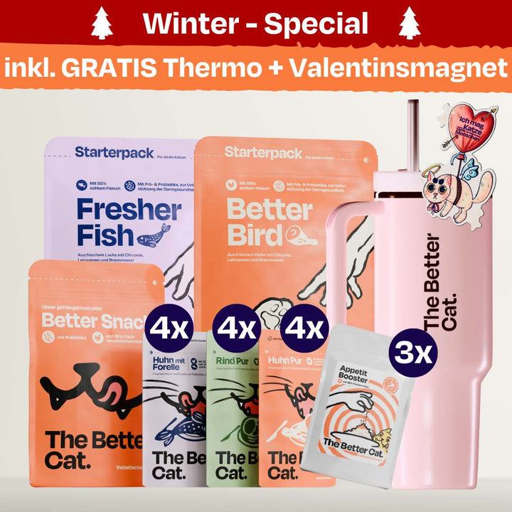 Katzenliebe Bundle inkl. GRATIS Thermo & Valentins-Magnet