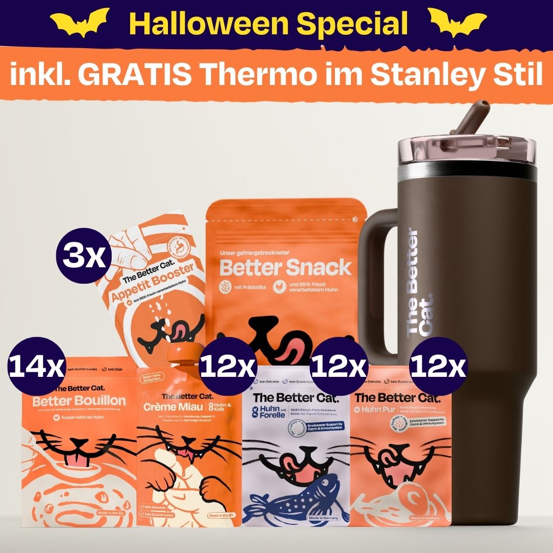 Das Halloween-Bundle inkl. GRATIS Thermo im Coffee-Farbe