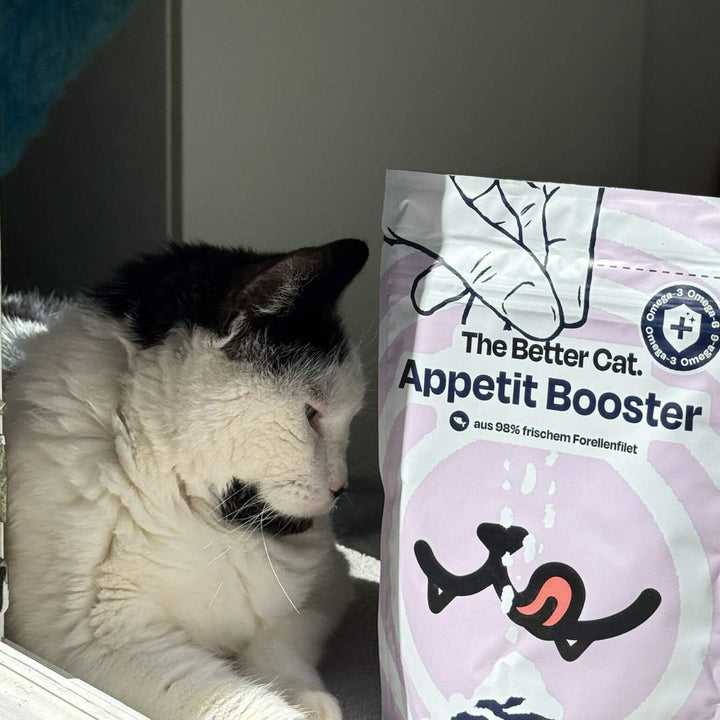 Appetit Booster - Forelle