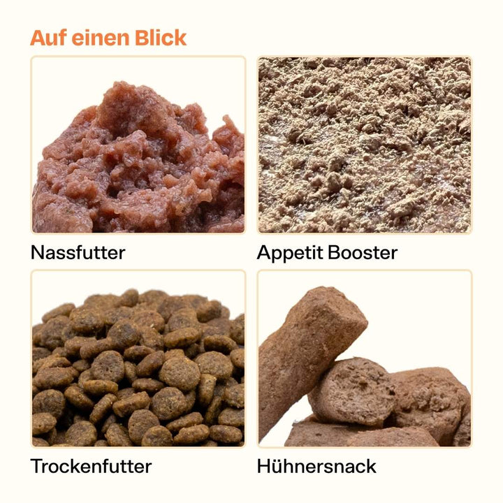 Frisches Starterpack inkl. GRATIS Appetit Booster Proben