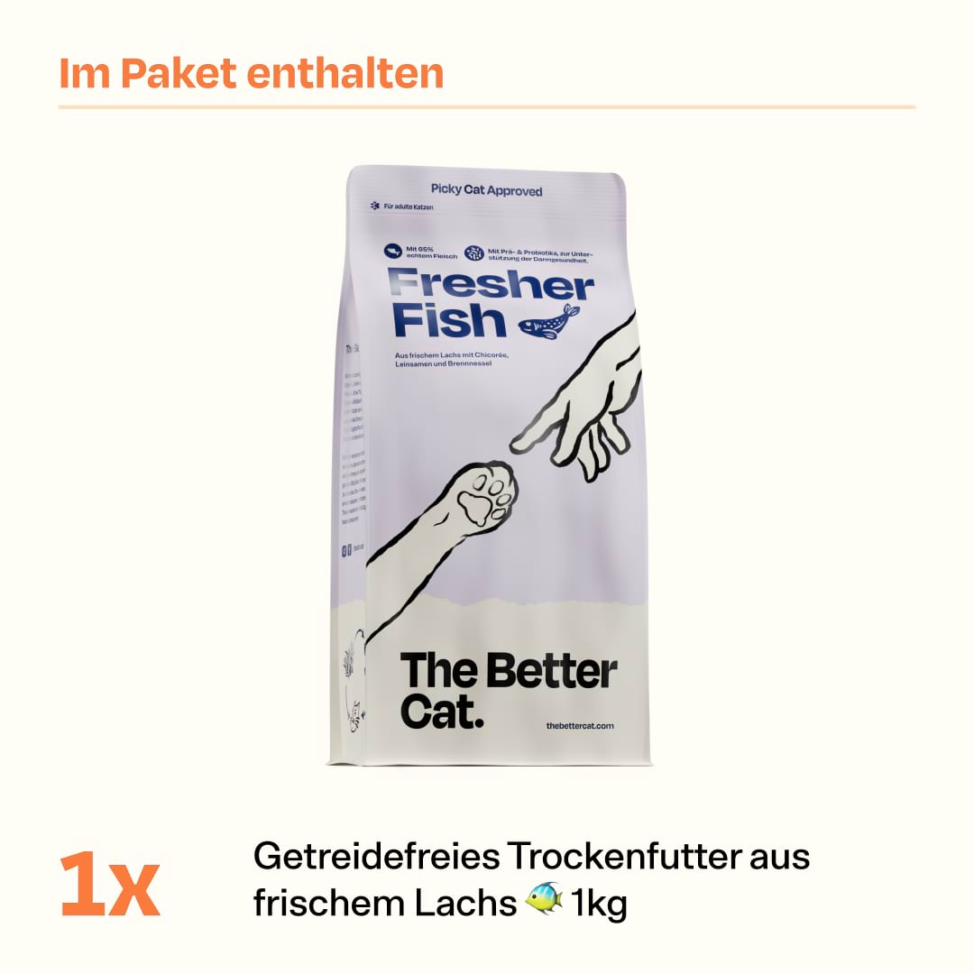 1kg Getreidefrei Frischer Lachs 🐠