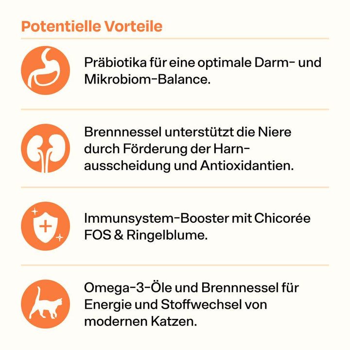 Knödeltier Meet & Greet Bundle