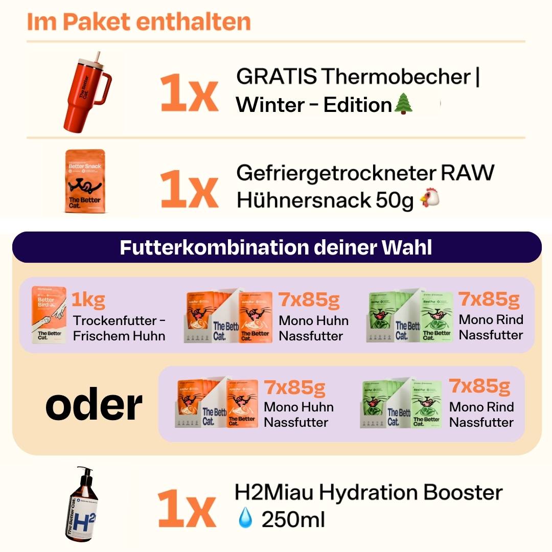 Neujahrs-Bundle inkl. GRATIS Thermobecher