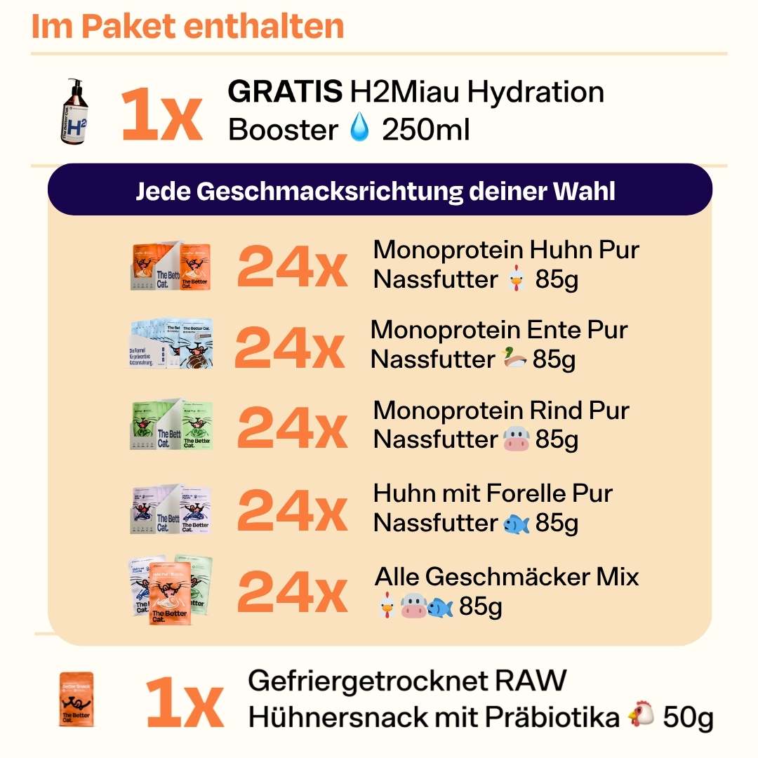 Nassfutter Starterpack inkl. GRATIS H2Miau Hydration Booster