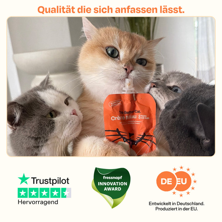 Crème Miau Schleck Snack