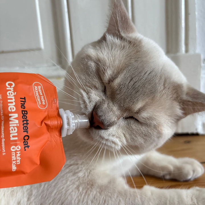 Crème Miau Schleck Snack