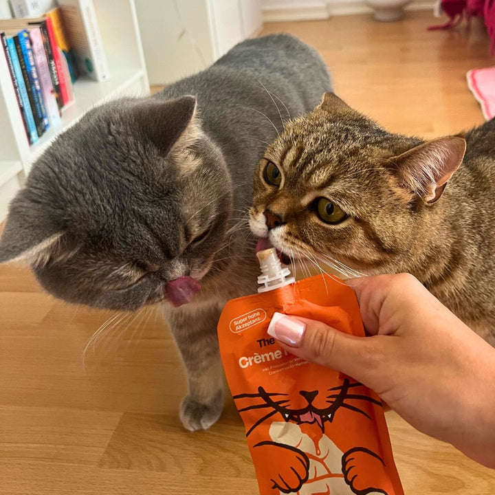 Crème Miau Schleck Snack